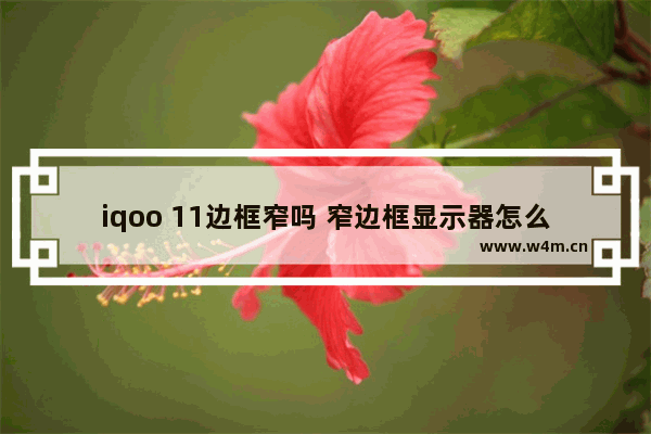 iqoo 11边框窄吗 窄边框显示器怎么