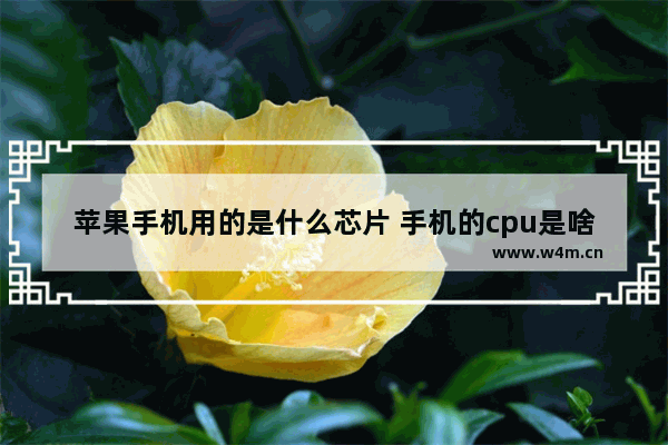 苹果手机用的是什么芯片 手机的cpu是啥