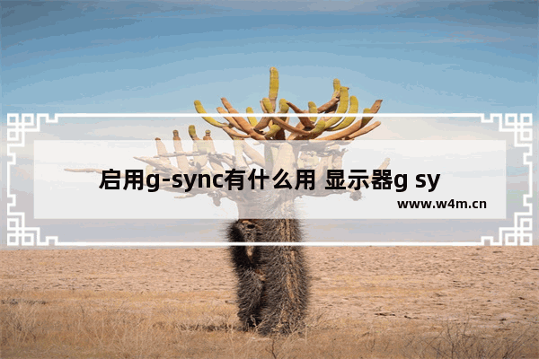 启用g-sync有什么用 显示器g sync