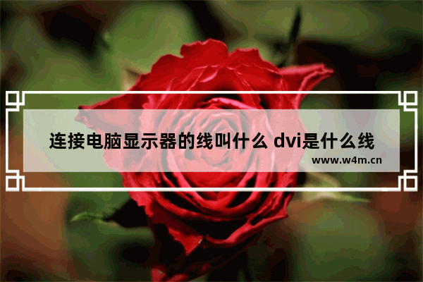 连接电脑显示器的线叫什么 dvi是什么线