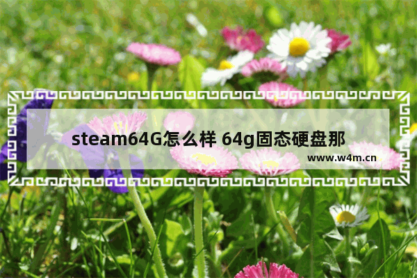 steam64G怎么样 64g固态硬盘那个好