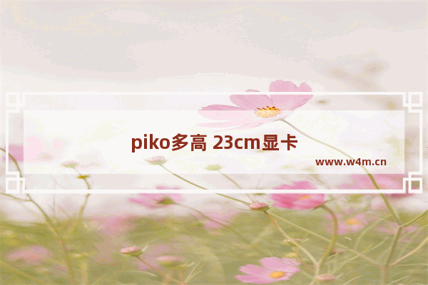 piko多高 23cm显卡