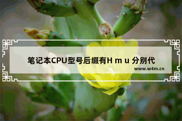 笔记本CPU型号后缀有H m u 分别代表什么 有什么区别 cpu都是多大尺寸的