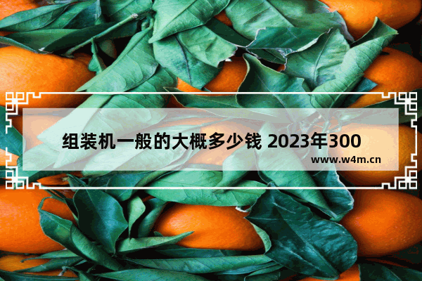 组装机一般的大概多少钱 2023年3000元组装电脑最强配置