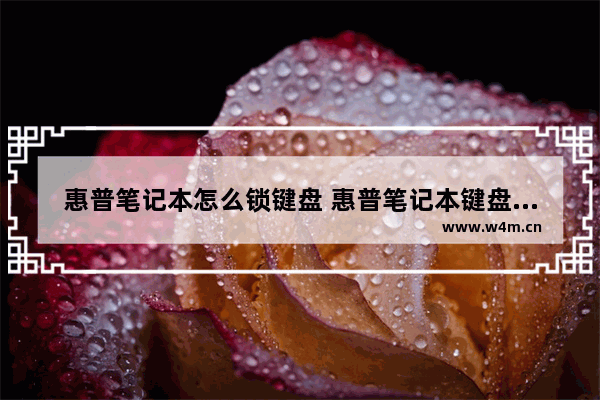 惠普笔记本怎么锁键盘 惠普笔记本键盘锁死无法输入字母