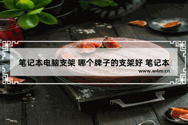 笔记本电脑支架 哪个牌子的支架好 笔记本电脑支架 哪个牌子的支架好