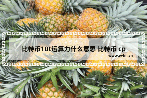 比特币10t运算力什么意思 比特币 cpu