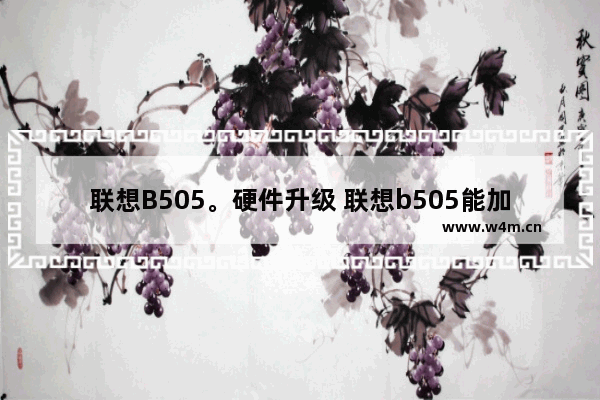 联想B505。硬件升级 联想b505能加固态硬盘