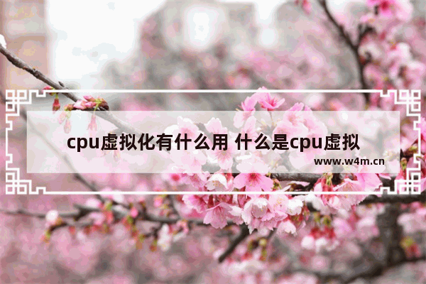 cpu虚拟化有什么用 什么是cpu虚拟