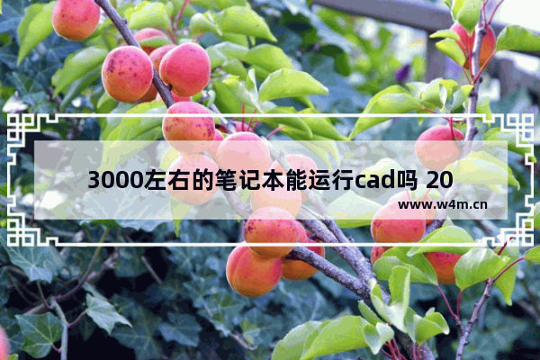 3000左右的笔记本能运行cad吗 2000-3000笔记本电脑性价比排名