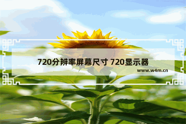 720分辨率屏幕尺寸 720显示器