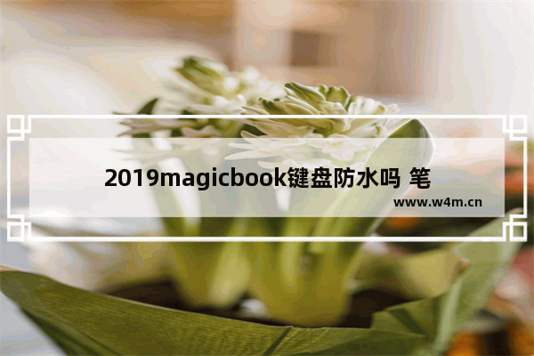 2019magicbook键盘防水吗 笔记本电脑键盘是防水