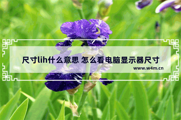 尺寸lih什么意思 怎么看电脑显示器尺寸的大小