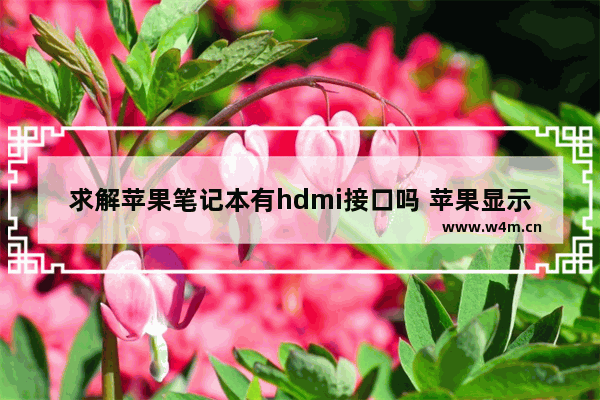 求解苹果笔记本有hdmi接口吗 苹果显示器的接口