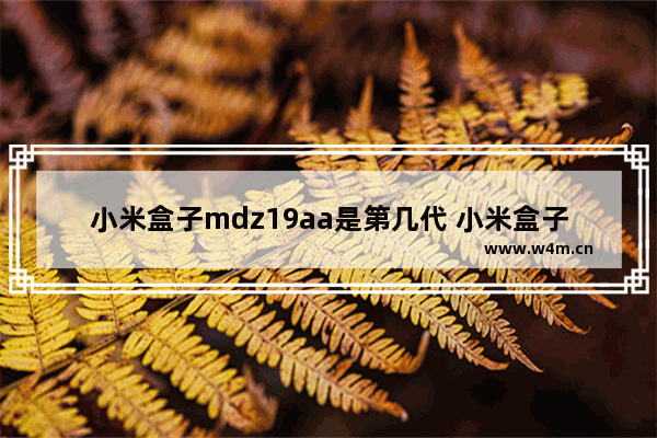 小米盒子mdz19aa是第几代 小米盒子CPU是