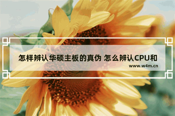 怎样辨认华硕主板的真伪 怎么辨认CPU和主板是否原装货