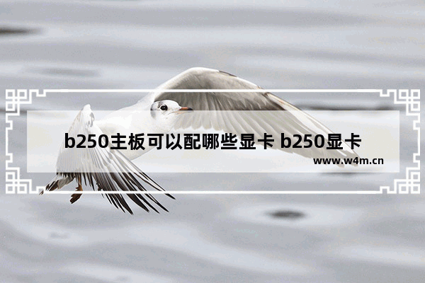 b250主板可以配哪些显卡 b250显卡