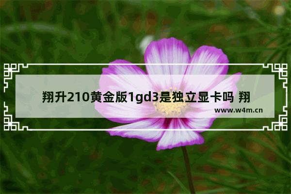 翔升210黄金版1gd3是独立显卡吗 翔升的显卡怎么样 跟其他的比