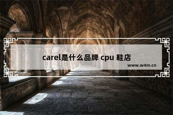 carel是什么品牌 cpu 鞋店