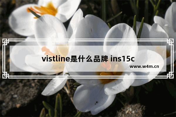 vistline是什么品牌 ins15c4528b 固态硬盘