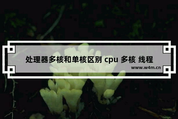 处理器多核和单核区别 cpu 多核 线程