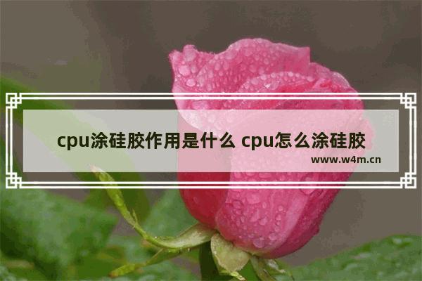 cpu涂硅胶作用是什么 cpu怎么涂硅胶