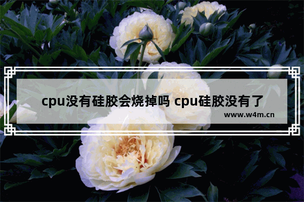 cpu没有硅胶会烧掉吗 cpu硅胶没有了