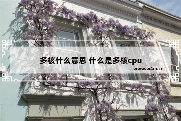 多核什么意思 什么是多核cpu