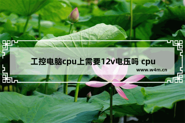 工控电脑cpu上需要12v电压吗 cpu 12v