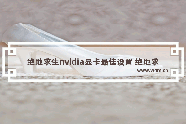 绝地求生nvidia显卡最佳设置 绝地求生最低显卡要求