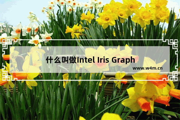 什么叫做Intel Iris Graphics显卡 gtx显卡 amd还是 intel