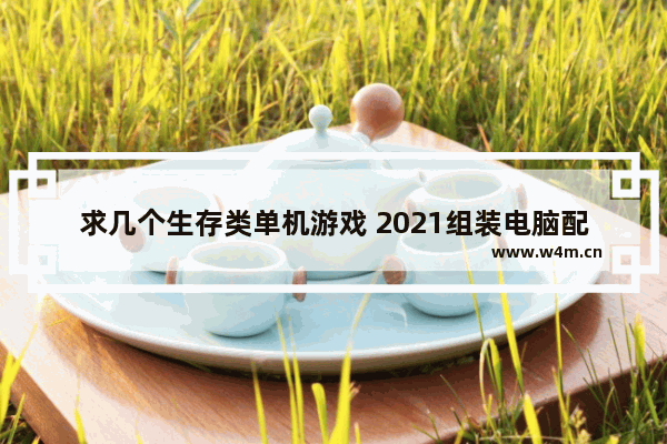 求几个生存类单机游戏 2021组装电脑配置游戏推荐