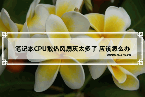 笔记本CPU散热风扇灰太多了 应该怎么办呢 cpu风扇灰尘