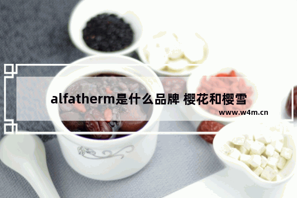 alfatherm是什么品牌 樱花和樱雪哪个品牌好