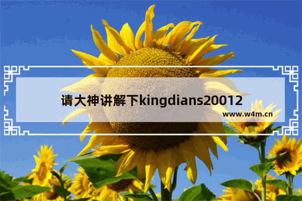 请大神讲解下kingdians200120g这硬盘怎么样 金典固态硬盘120g价格