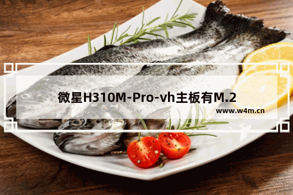 微星H310M-Pro-vh主板有M.2接口吗 能不能用三星pm981固态硬盘 14年的电脑有固态吗