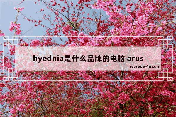 hyednia是什么品牌的电脑 arus是什么电脑