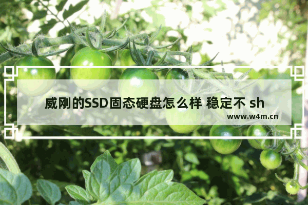 威刚的SSD固态硬盘怎么样 稳定不 shinedisk m667固态硬盘不能分区和格式化了