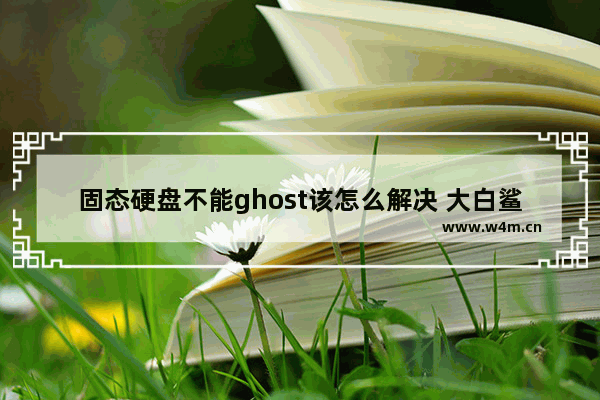 固态硬盘不能ghost该怎么解决 大白鲨固态硬盘怎么样