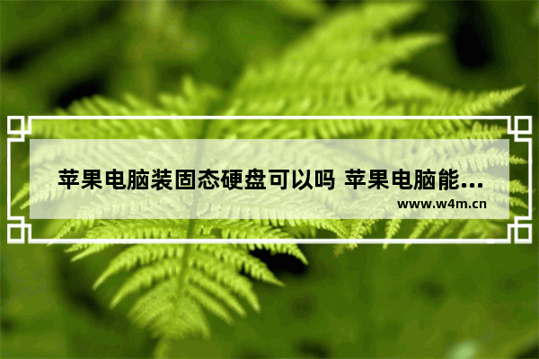 苹果电脑装固态硬盘可以吗 苹果电脑能装固态硬盘吗