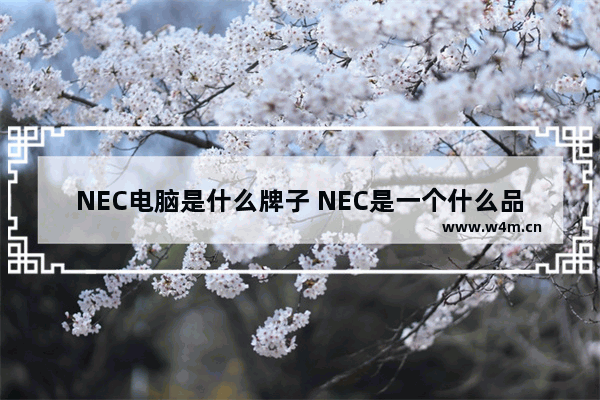 NEC电脑是什么牌子 NEC是一个什么品牌