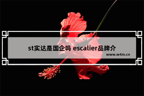 st实达是国企吗 escalier品牌介绍