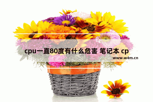 cpu一直80度有什么危害 笔记本 cpu 80度