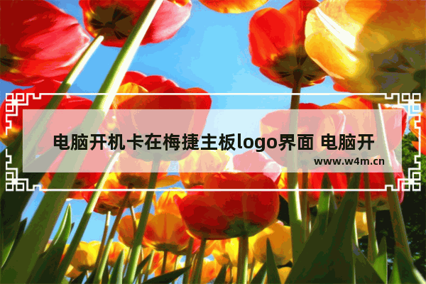 电脑开机卡在梅捷主板logo界面 电脑开机进去主板卡了