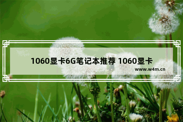 1060显卡6G笔记本推荐 1060显卡哪个牌子好