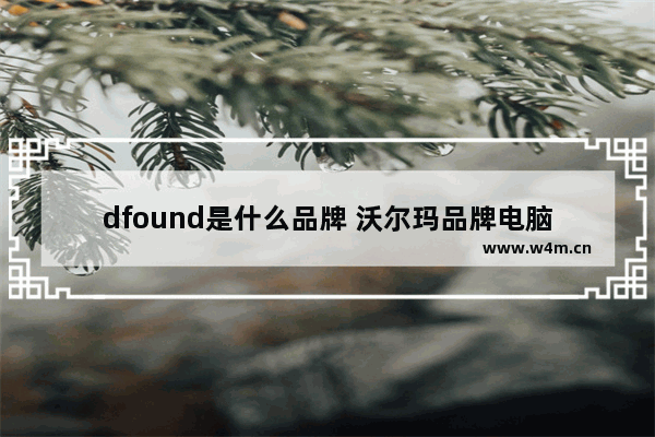 dfound是什么品牌 沃尔玛品牌电脑