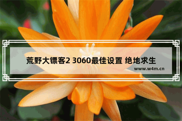 荒野大镖客2 3060最佳设置 绝地求生1080显卡设置