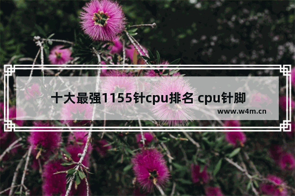 十大最强1155针cpu排名 cpu针脚1155