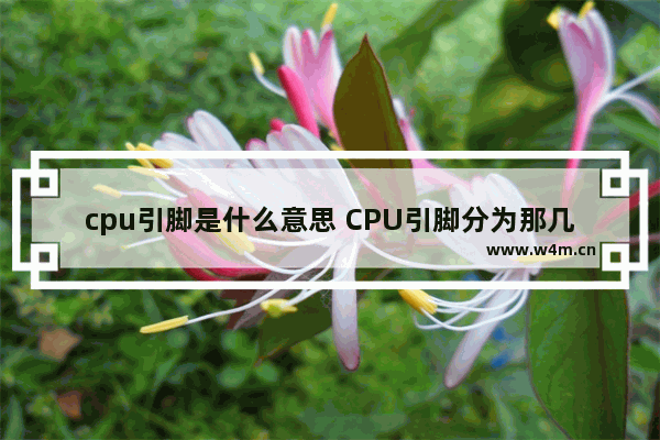 cpu引脚是什么意思 CPU引脚分为那几类