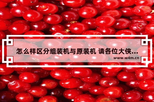 怎么样区分组装机与原装机 请各位大侠指点一下。谢谢 组装电脑零件怎么看